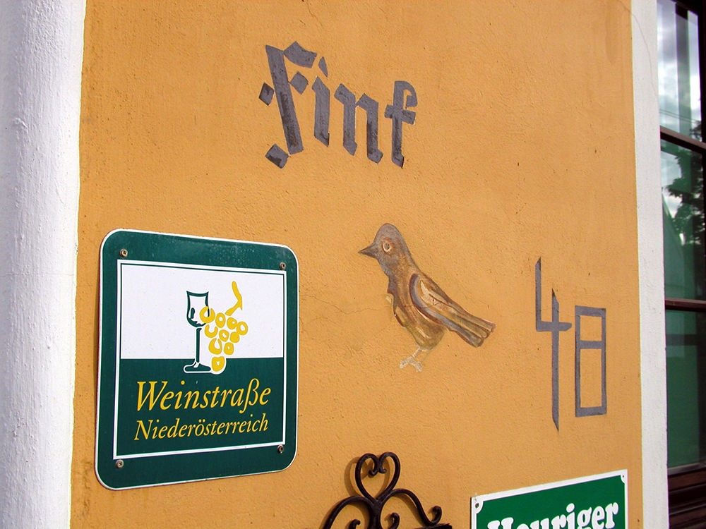 Weingut Fink - Das Weingut